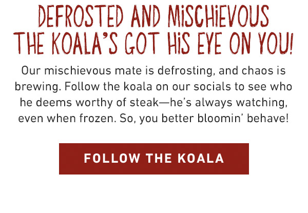 Defrosted and Dangerous  The Koala's Got His Eye on You! Our mischievous mate is defrosting, and chaos is brewing. Follow the koala on our socials to see who he deems worthy of steak—he's always watching, even when frozen. So, you better bloomin' behave! FOLLOW THE KOALA